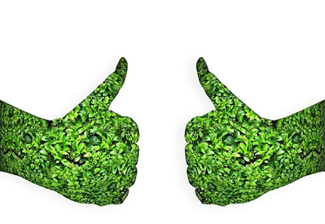 Green thumbs up Green thumbs up